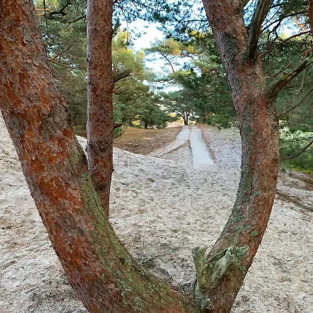 Kemping - Osrodek Na Klifie Village - Helska 11 *