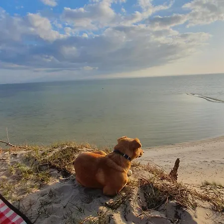 - Osrodek Na Klifie Village - Helska 11 * Hel