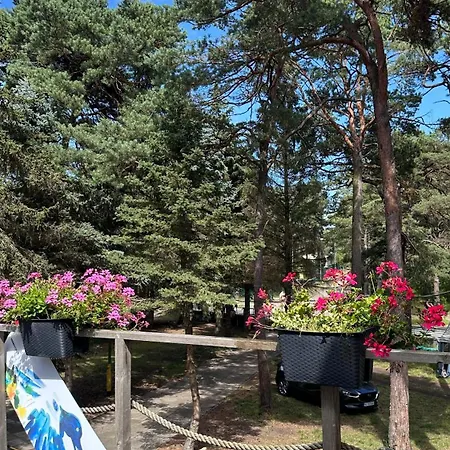 - Osrodek Na Klifie Village - Helska 11 Kemping Hel