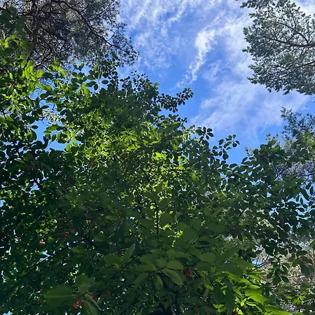 - Osrodek Na Klifie Village - Helska 11 הל