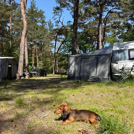 - Osrodek Na Klifie Village - Helska 11 Hel