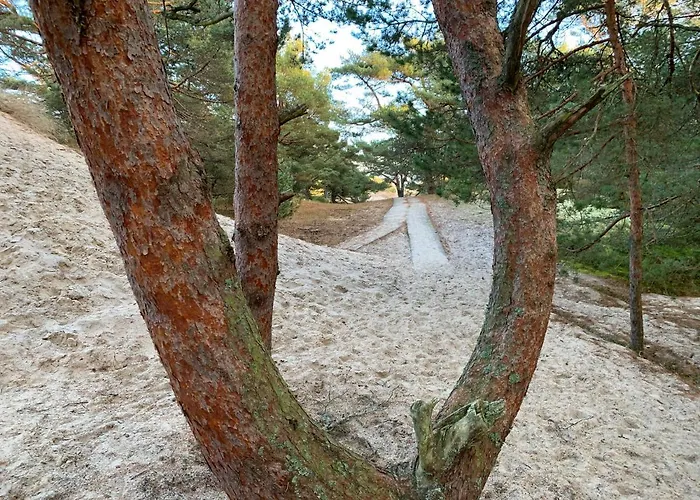 营地 - Osrodek Na Klifie Village - Helska 11 *