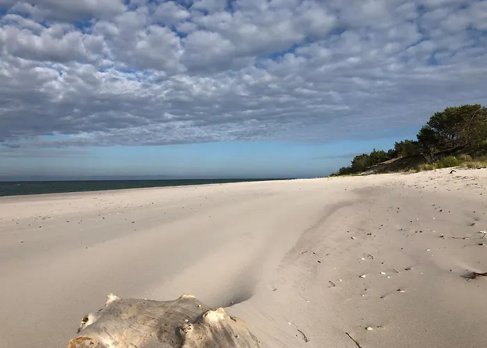 - Osrodek Na Klifie Village - Helska 11 营地 赫尔