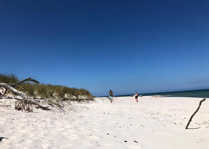 - Osrodek Na Klifie Village - Helska 11 营地 *