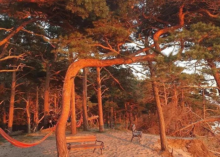 - Osrodek Na Klifie Village - Helska 11 营地