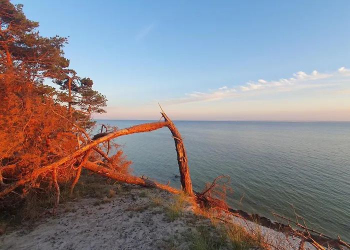 - Osrodek Na Klifie Village - Helska 11 营地