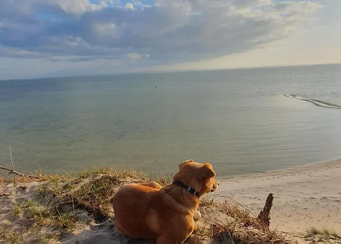 - Osrodek Na Klifie Village - Helska 11 * 赫尔