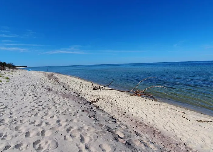 - Osrodek Na Klifie Village - Helska 11 营地