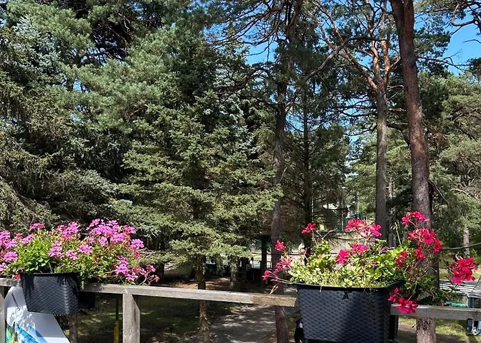 - Osrodek Na Klifie Village - Helska 11 营地 赫尔