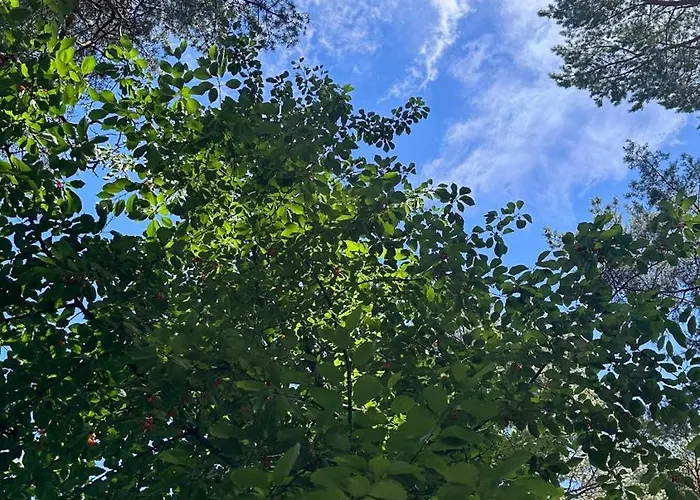 - Osrodek Na Klifie Village - Helska 11 赫尔