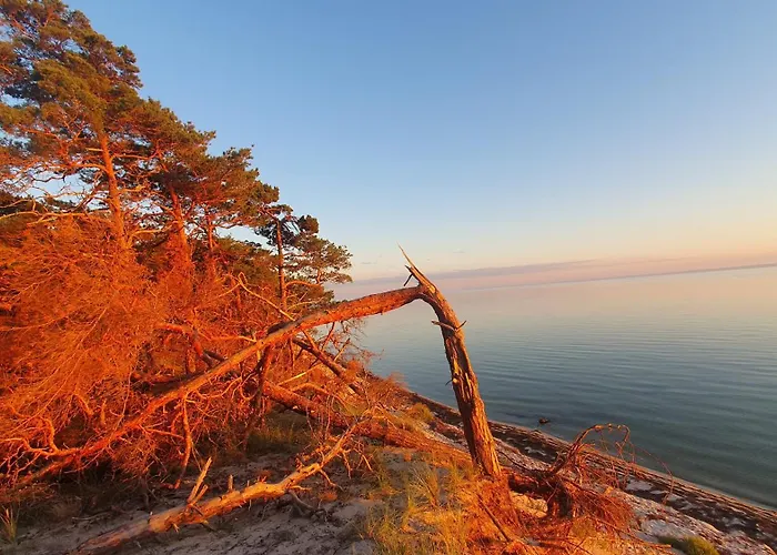 - Osrodek Na Klifie Village - Helska 11 赫尔