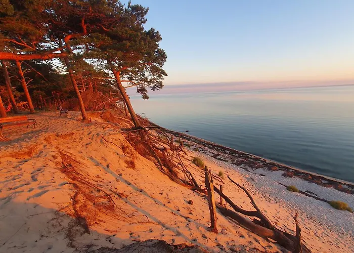 - Osrodek Na Klifie Village - Helska 11 营地 *